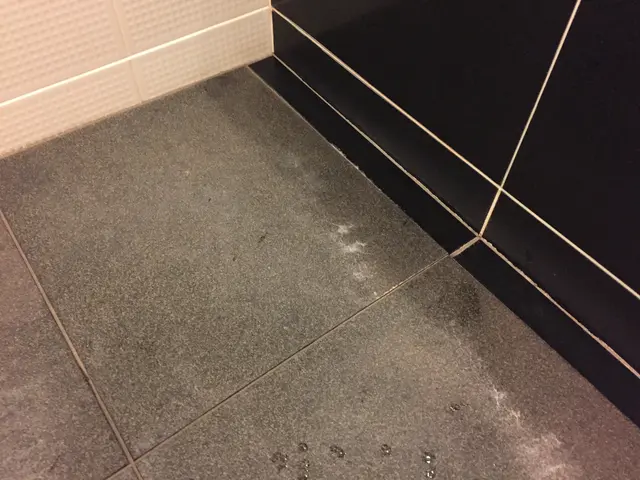 ★カビ・湯垢・皮脂汚・石鹸カスを残らずスッキリ★　☆pay pay・クレカOKサービスの画像