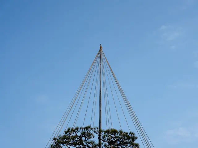 雪吊り・雪囲いサービスの画像