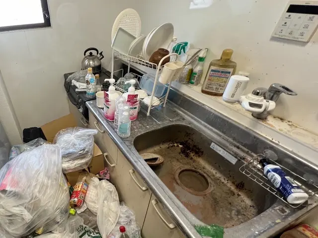 《キッチンクリーニング》月100件の経験と技術。お部屋掃除のプロがお伺い致しますサービスの画像