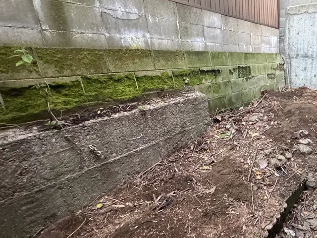 外壁洗浄行います！サービスの画像