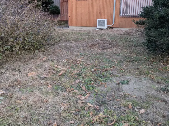 プロの技術でご満足いただけるように心を込めて作業いたしますサービスの画像