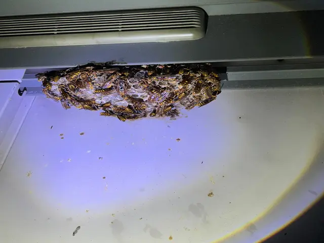 ★即レス即対応★安全第一で確実に駆除、1週間保証付きで安心サービスの画像