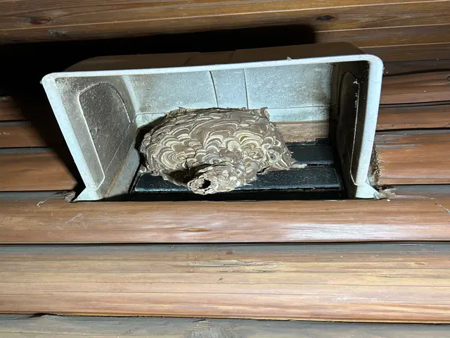 ★即レス即対応★安全第一で確実に駆除、1週間保証付きで安心サービスの画像