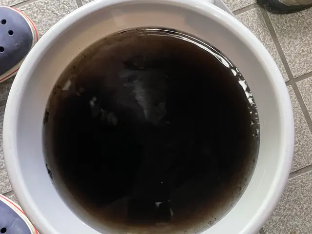 「出店記念大特価サービス！9,000円→7,000円☆必ず店長がお伺いします！」サービスの画像