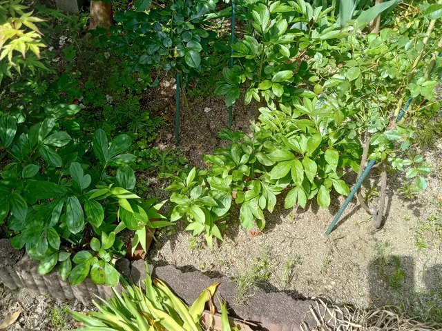 ◆至急対応◎地域密着店◎営業時間外も対応可能◎女性スタッフ同行可能サービスの画像