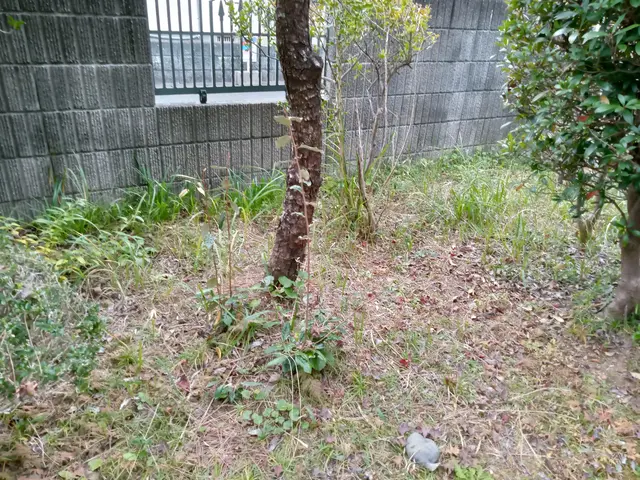 ◆至急対応◎地域密着店◎営業時間外も対応可能◎女性スタッフ同行可能サービスの画像