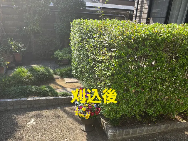 【造園業20年☆庭園管理士】仕立て方、季節に合わせた刈込させていただきます。サービスの画像