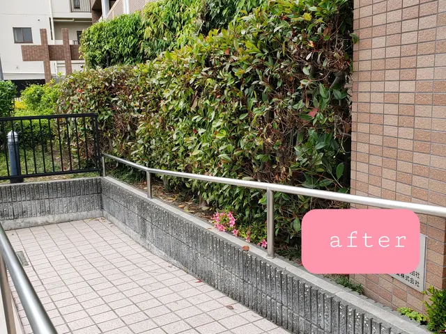 【造園業20年☆庭園管理士】仕立て方、季節に合わせた刈込させていただきます。サービスの画像