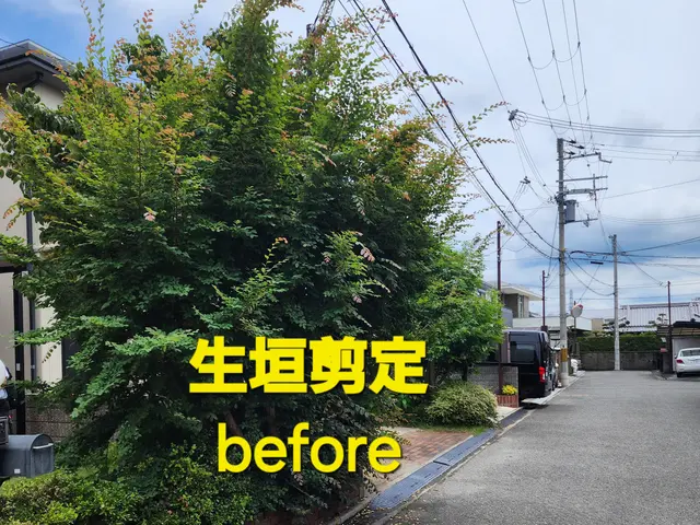 【造園業20年☆庭園管理士】仕立て方、季節に合わせた刈込させていただきます。サービスの画像