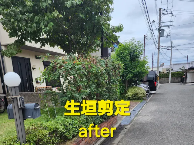 【造園業20年☆庭園管理士】仕立て方、季節に合わせた刈込させていただきます。サービスの画像