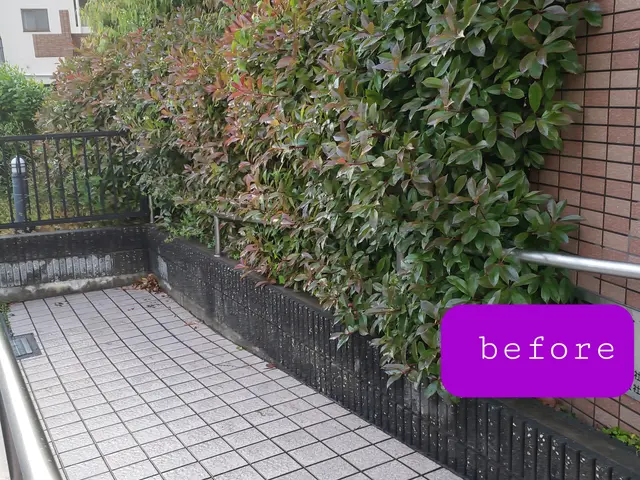 【造園業20年☆庭園管理士】仕立て方、季節に合わせた刈込させていただきます。サービスの画像