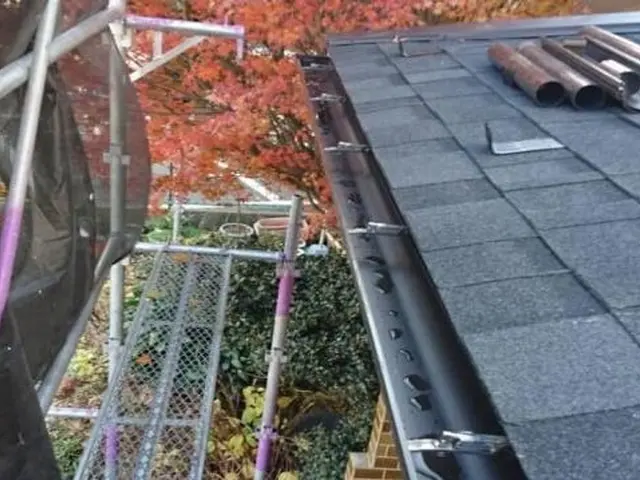《多摩地区》雨樋掃除・修理の実績と口コミで選ぶなら、ぜひ当店にご相談下さい♪サービスの画像