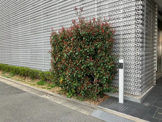 土日祝対応可能◎、庭木一本からでもお気軽にどうぞ！サービスの画像