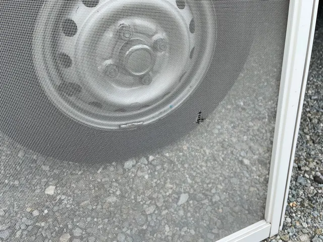 【１１月１３日～OK！】◇仕上がり保証あり◇オンラインカード可◎サービスの画像