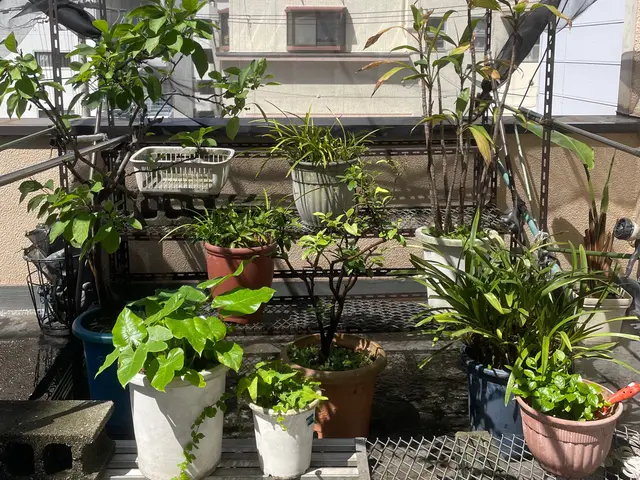 【女性スタッフ同行可能】大手での作業経験あります◉サービスの画像