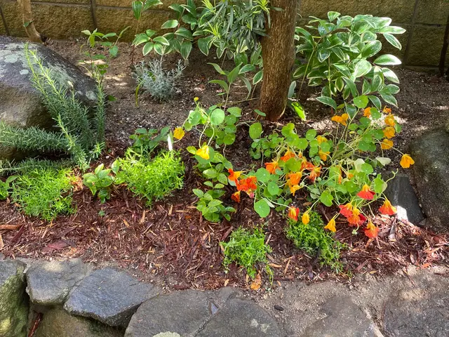 【女性スタッフ同行可能】大手での作業経験あります◉サービスの画像