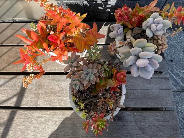 【女性スタッフ同行可能】大手での作業経験あります◉サービスの画像