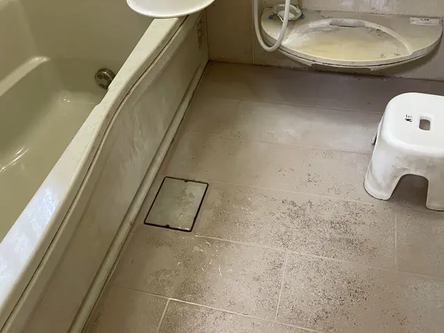 ☆掃除好きの女子が訪問☆【エプロン高圧洗浄もイスやフタも金額内】人気のサービスサービスの画像