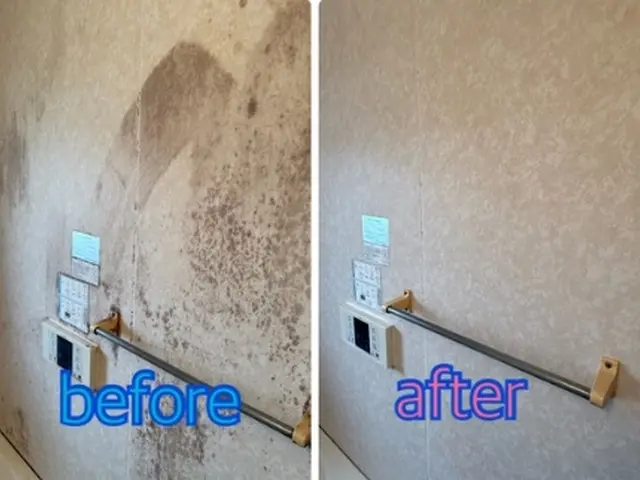 【カビや水アカを落として快適に】エプロン内部やフタやイスもしっかり洗浄します！サービスの画像