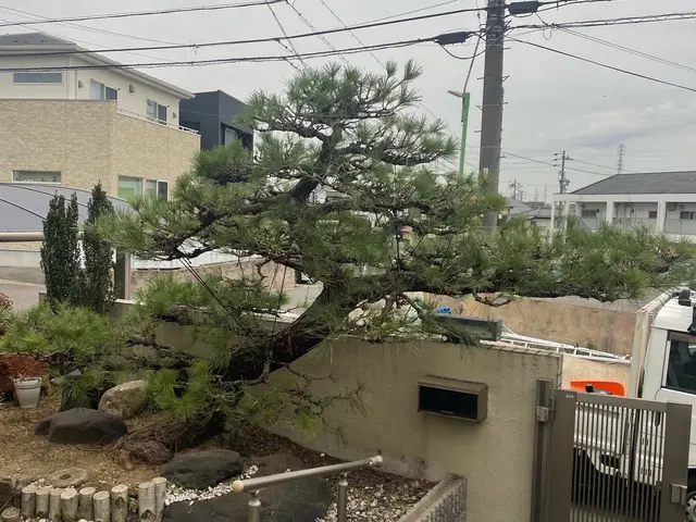 ◆どれだけ自分が上手く剪定できたかより、お客様の心に刺さる作業を心がけるサービスの画像