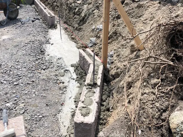 伐採作業、伐根作業サービスの画像