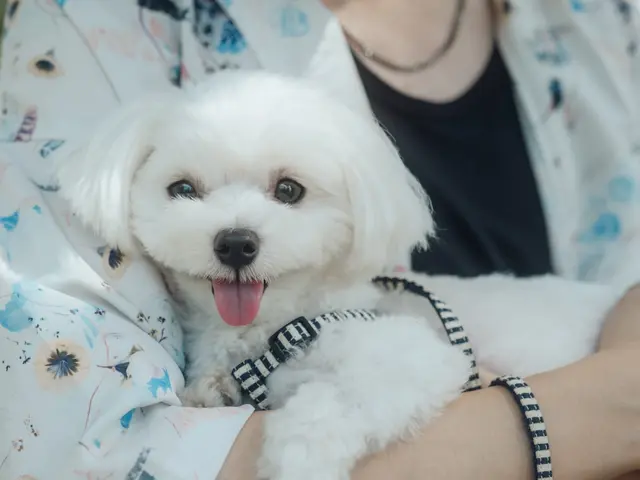 予約対応～撮影・納品まで当社スタッフがすべて対応しますサービスの画像