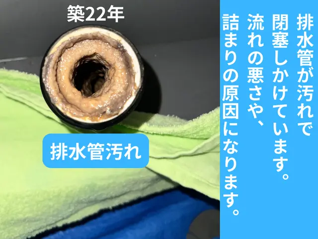 【戸建排水管専門】外桝⇄室内まで高圧洗浄セット価格で安心◎詰まり・臭い解消！サービスの画像