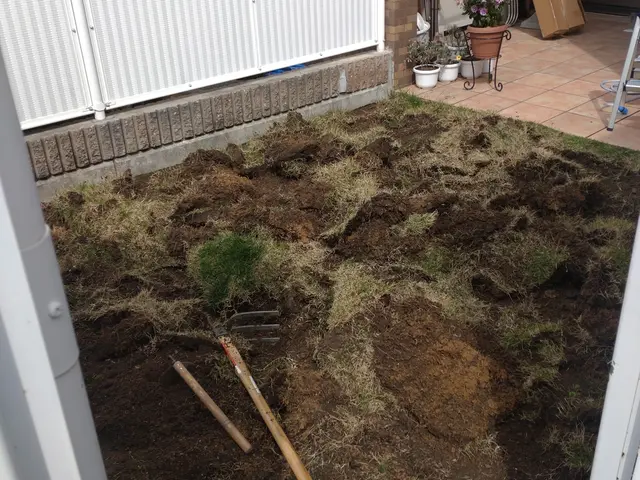 芝張り作業サービスの画像