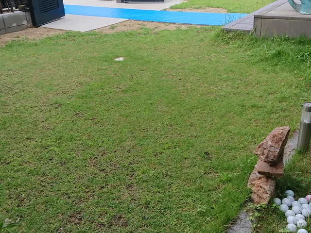 芝張り作業サービスの画像