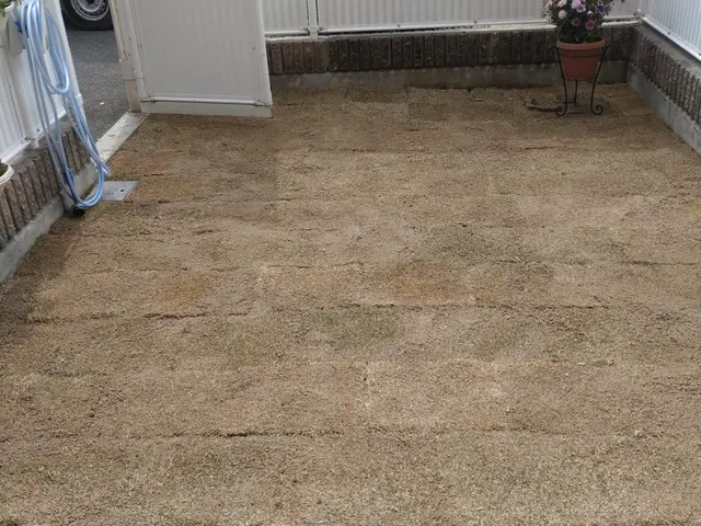 芝張り作業サービスの画像