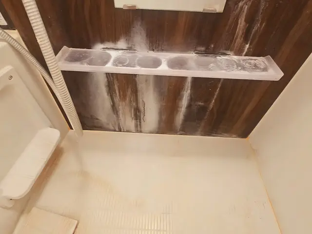 5つ星ホテルの経験を生かした作業品質！入退去の空室クリーニング専門のプロが対応サービスの画像