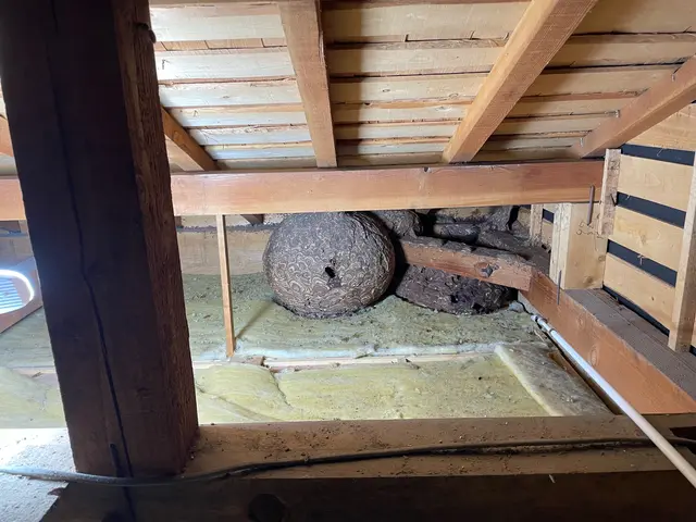 山陰最安値目指します！即日対応可能◎営業時間外も対応可能◎自社スタッフが対応しまサービスの画像