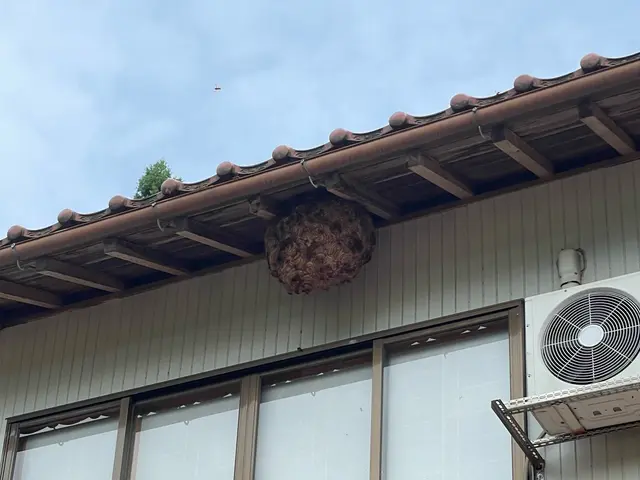 山陰最安値目指します！即日対応可能◎営業時間外も対応可能◎自社スタッフが対応しまサービスの画像