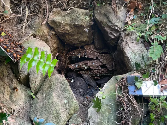 山陰最安値目指します！即日対応可能◎営業時間外も対応可能◎自社スタッフが対応しまサービスの画像