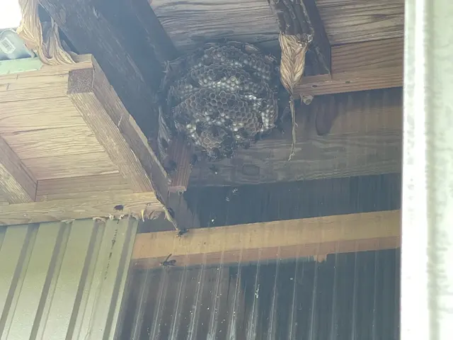 山陰最安値目指します！即日対応可能◎営業時間外も対応可能◎自社スタッフが対応しまサービスの画像