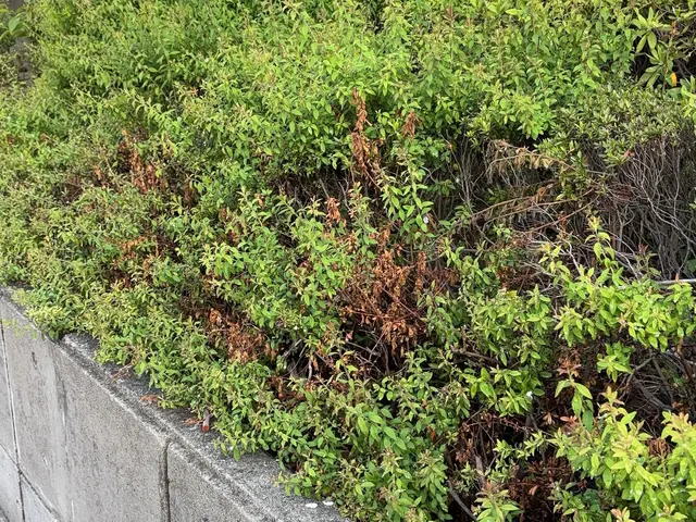 プロの技術でご満足いただけるように心を込めて作業いたしますサービスの画像