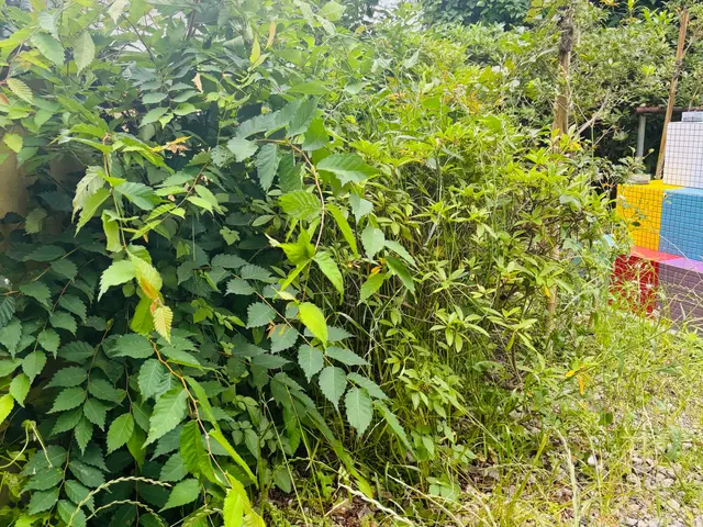 プロの技術でご満足いただけるように心を込めて作業いたしますサービスの画像