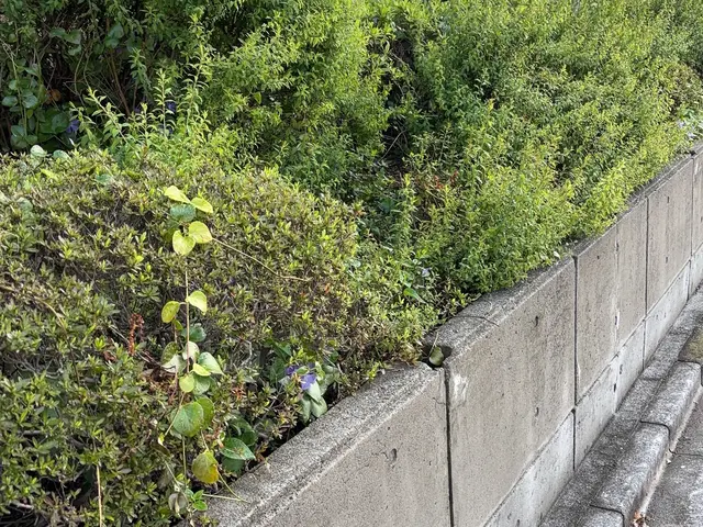 プロの技術でご満足いただけるように心を込めて作業いたしますサービスの画像