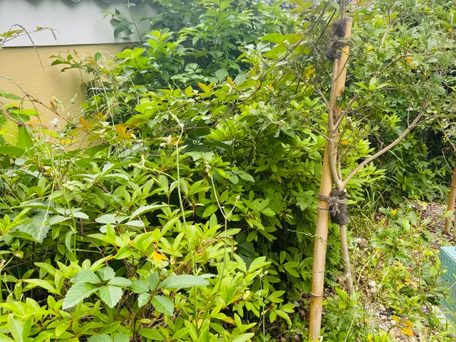 プロの技術でご満足いただけるように心を込めて作業いたしますサービスの画像