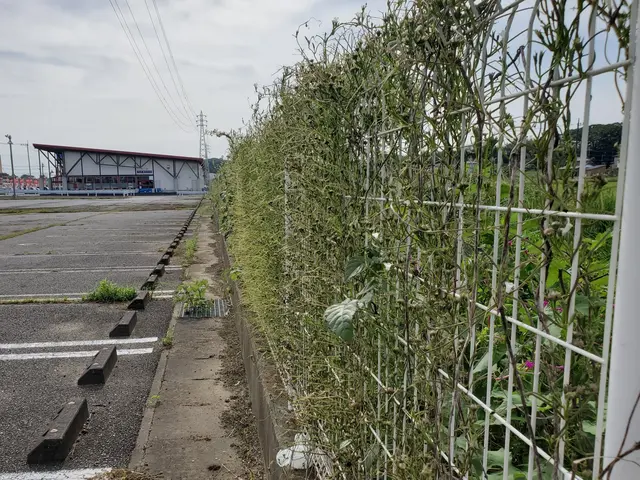 【大手業務経験あり】あなたの「困った」を当社スタッフが全力で解決します！サービスの画像