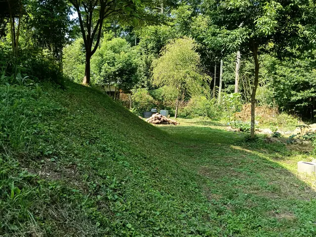 プロの技術でご満足いただけるように心を込めて作業いたしますサービスの画像