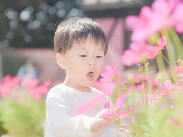 ★JBP協会認定ブロンズ会員/リピーター様特典あり　家族の思い出を残します