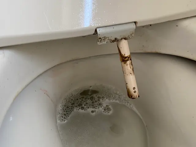 【尿石、黒ずみ、水垢除去します】隅々まで綺麗に仕上げます！サービスの画像