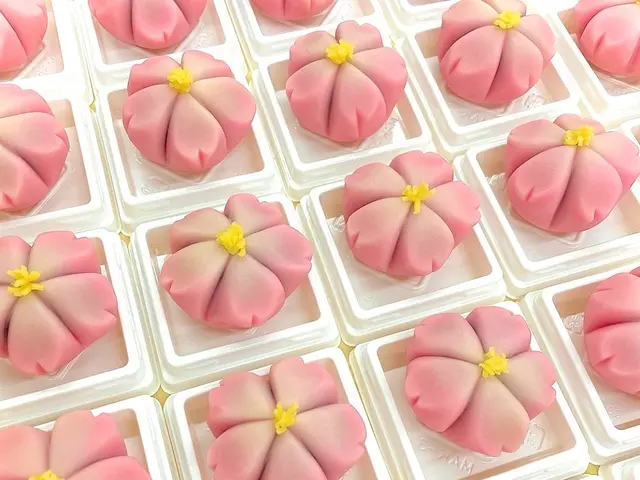 【和菓子作り体験】和菓子をより身近に★京都市内以外でも出張可能です★