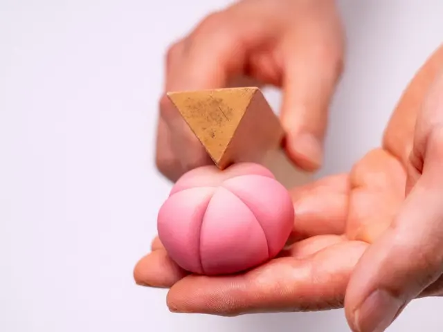 【和菓子作り体験】和菓子をより身近に★京都市内以外でも出張可能です★