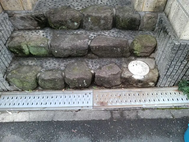 新規カテゴリー追加につき、キャンペーン中！サービスの画像