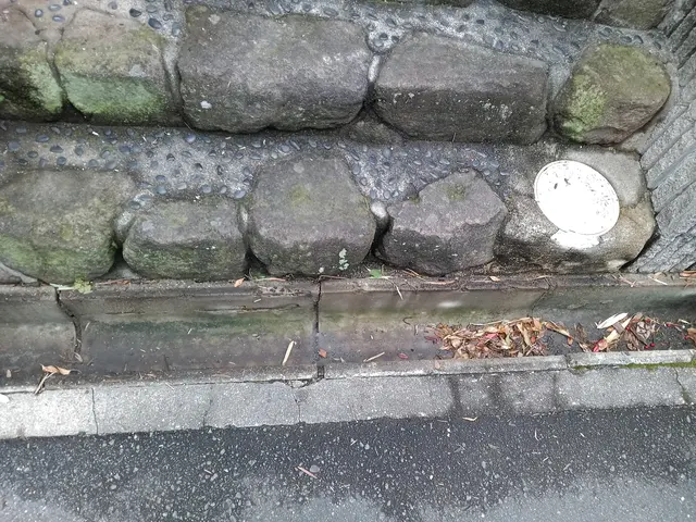 新規カテゴリー追加につき、キャンペーン中！サービスの画像