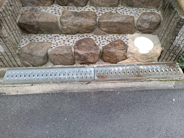 新規カテゴリー追加につき、キャンペーン中！サービスの画像