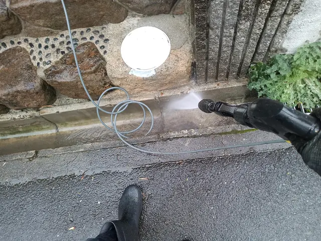 新規カテゴリー追加につき、キャンペーン中！サービスの画像