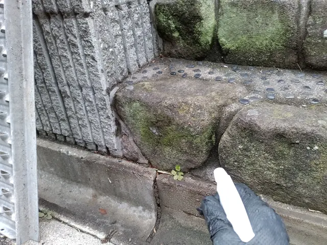 新規カテゴリー追加につき、キャンペーン中！サービスの画像